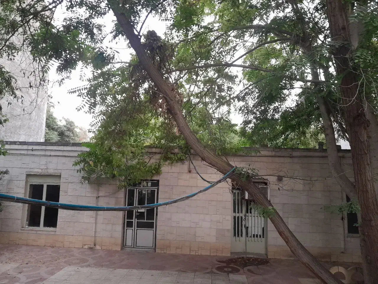 سرایداری و نظافتچی|استخدام سرایداری و نظافت|پارس‌آباد, |دیوار