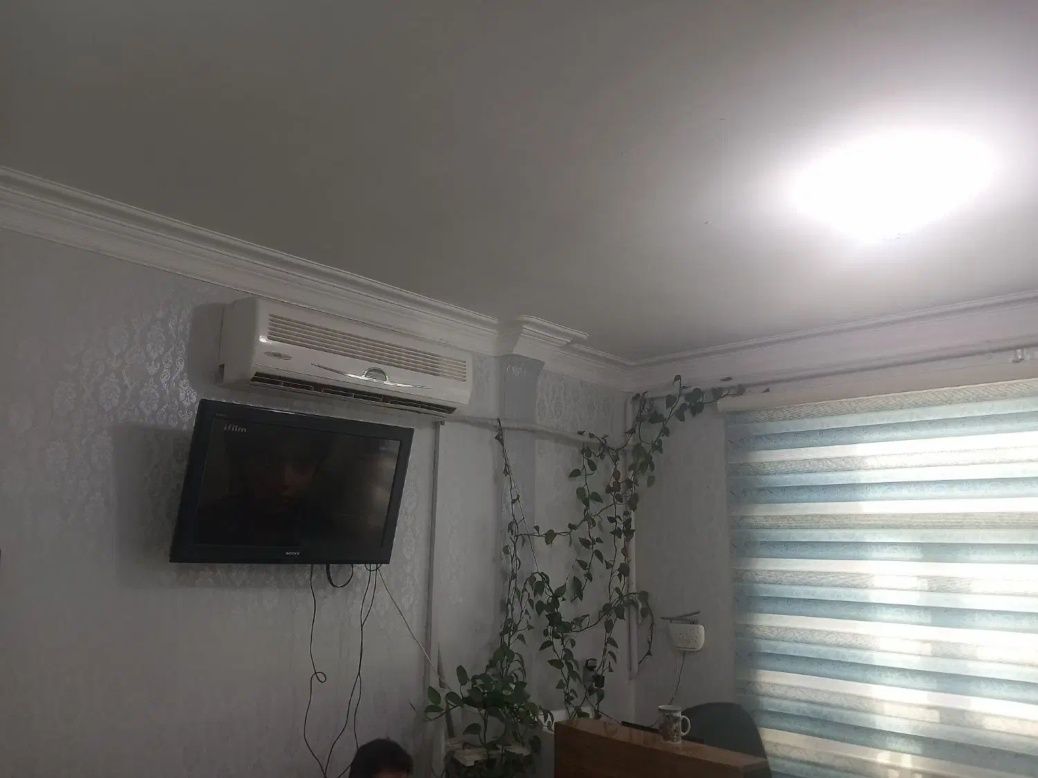 اجاره واحد آپارتمان جهت سکونت یا مطب|اجارهٔ آپارتمان|ایوان, |دیوار