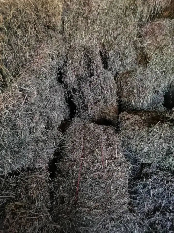 یونجه|خدمات باغبانی و درختکاری|بجنورد, |دیوار