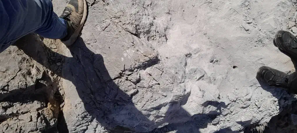 معدن سنگ گچ|کلکسیون اشیاء عتیقه|بوشهر, |دیوار