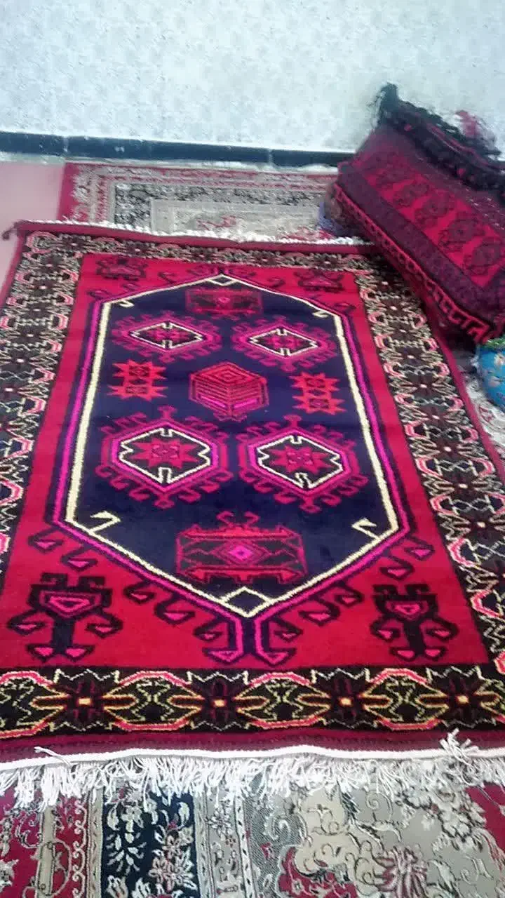 قالی دست باف  بختیاری نو|فرش|شوشتر, |دیوار