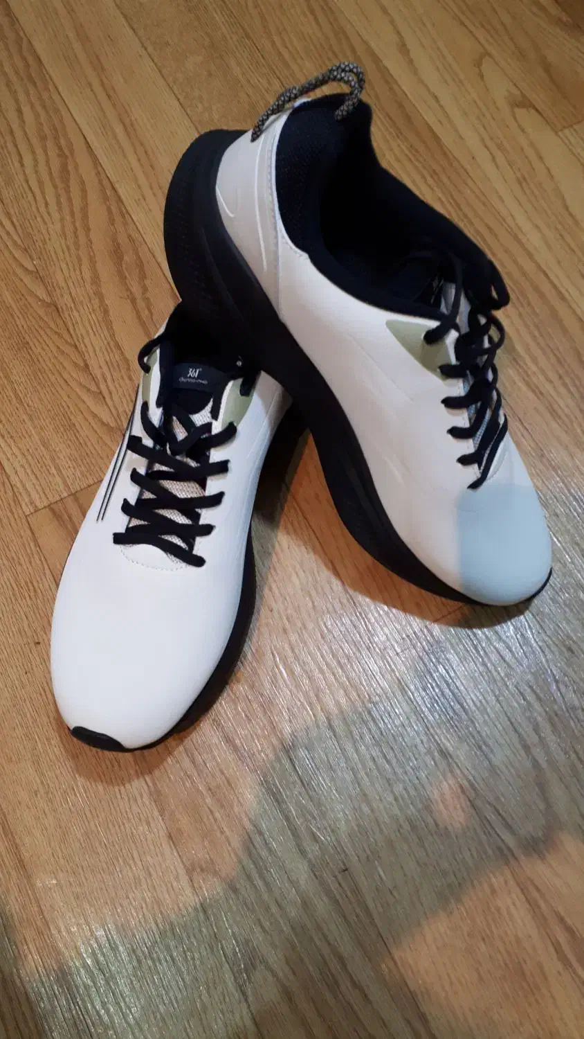 کتونی|کیف، کفش، کمربند|رشت, خمیران زاهدان|دیوار