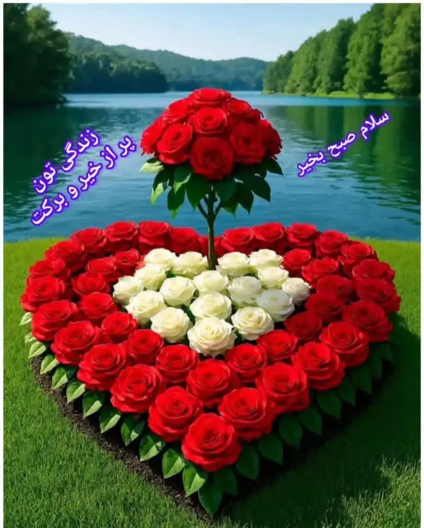 راهنمایی کنید لطفا|فعالیت داوطلبانه تحقیقاتی|یزد, |دیوار