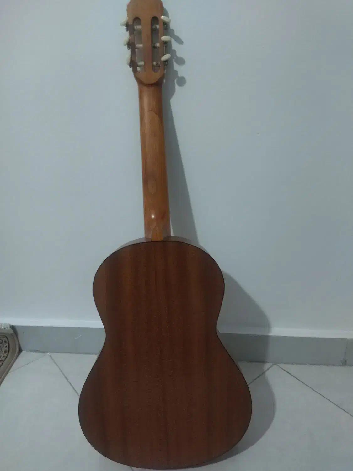 گیتار Hohner H20|گیتار، بیس، امپلیفایر|مشهد, طبرسی شمالی|دیوار