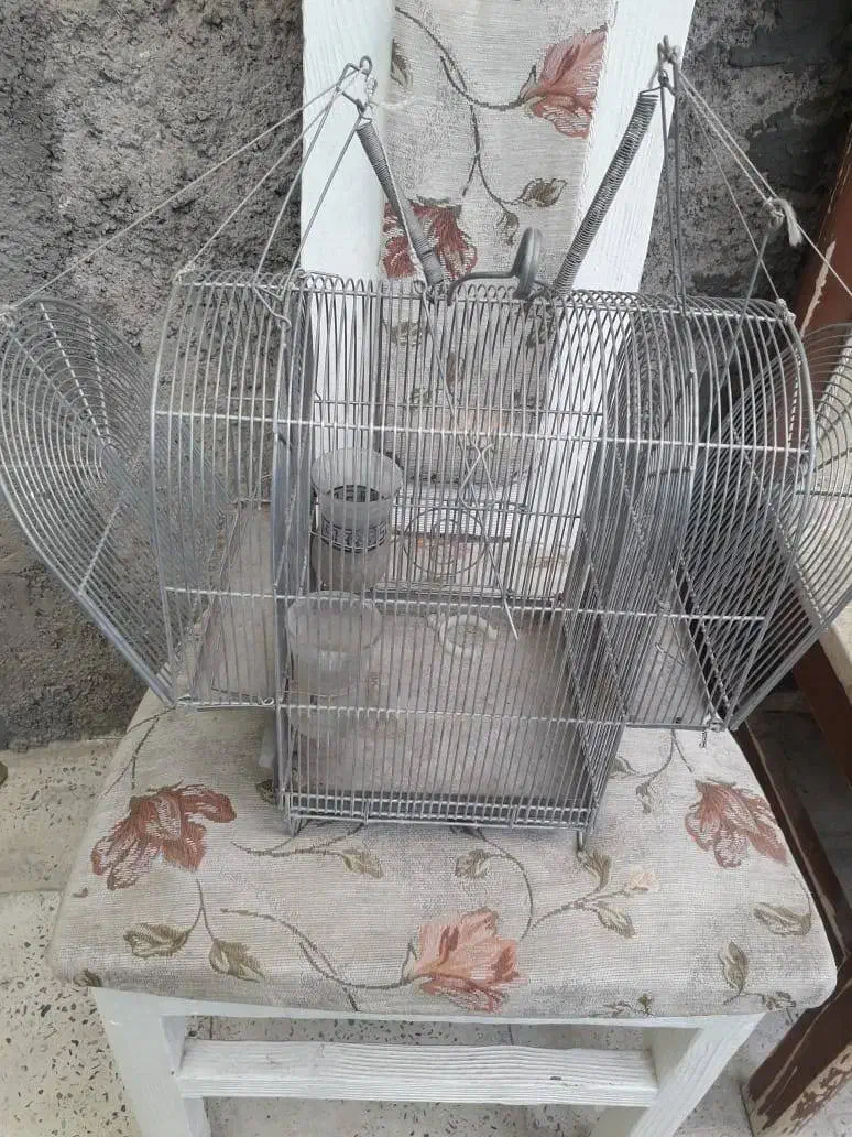 تله پرنده|لوازم جانبی حیوانات|کرج, فاز ۴ مهرشهر|دیوار