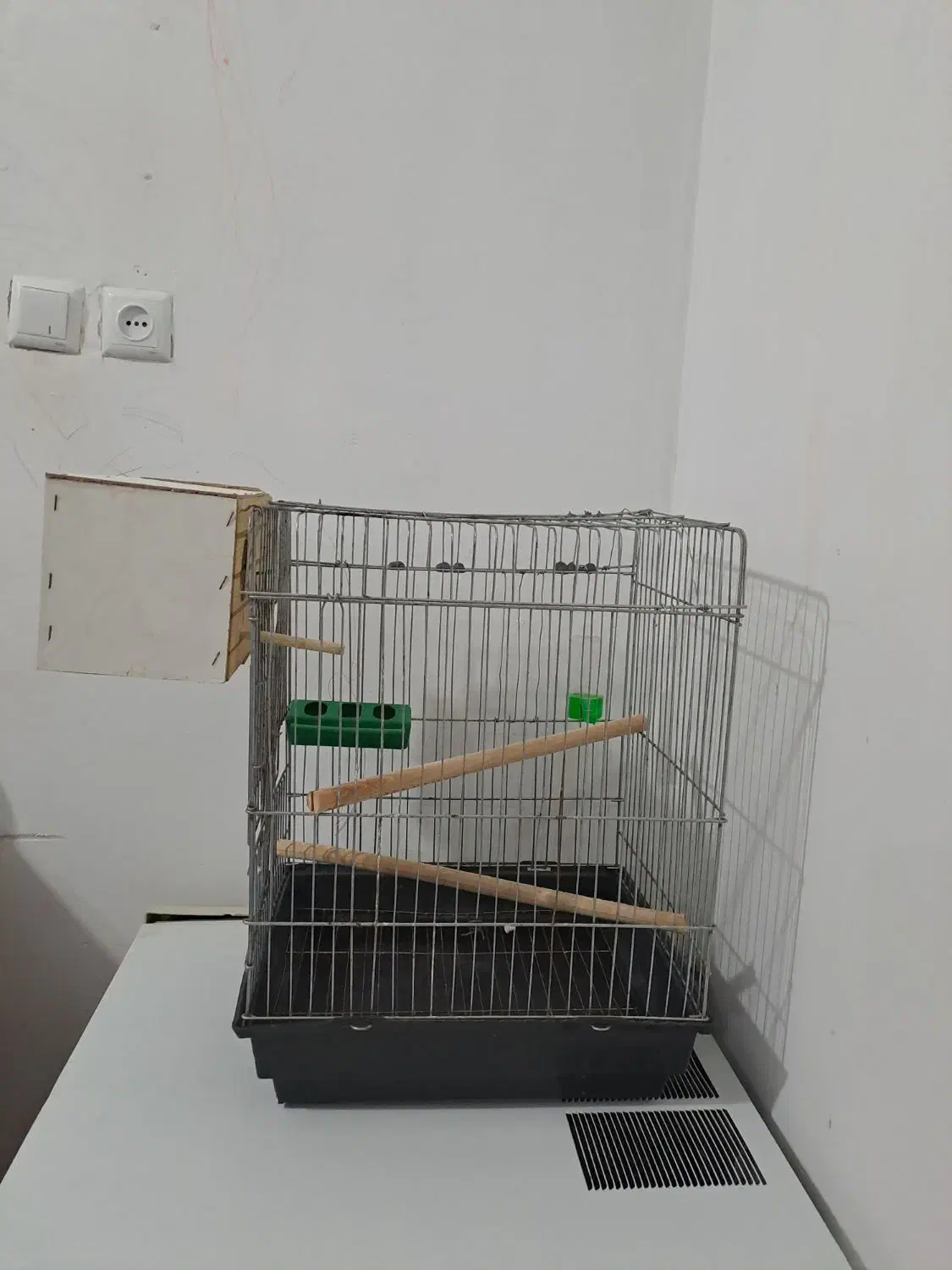 مرغ گلین لری اصیل وتعدادی قفس|حیوانات مزرعه|پلنگ آباد, |دیوار