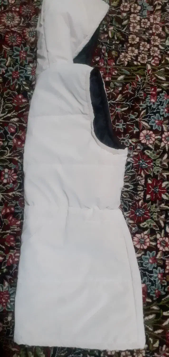 پافر|لباس|کبودرآهنگ, |دیوار