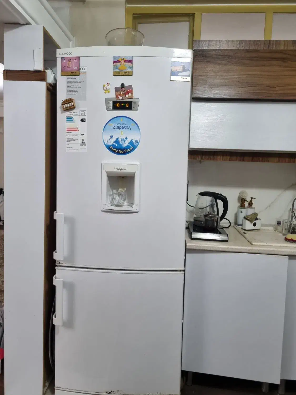 یخچال فریزر بدون برفک کنوود|یخچال و فریزر|کرج, اتحاد|دیوار