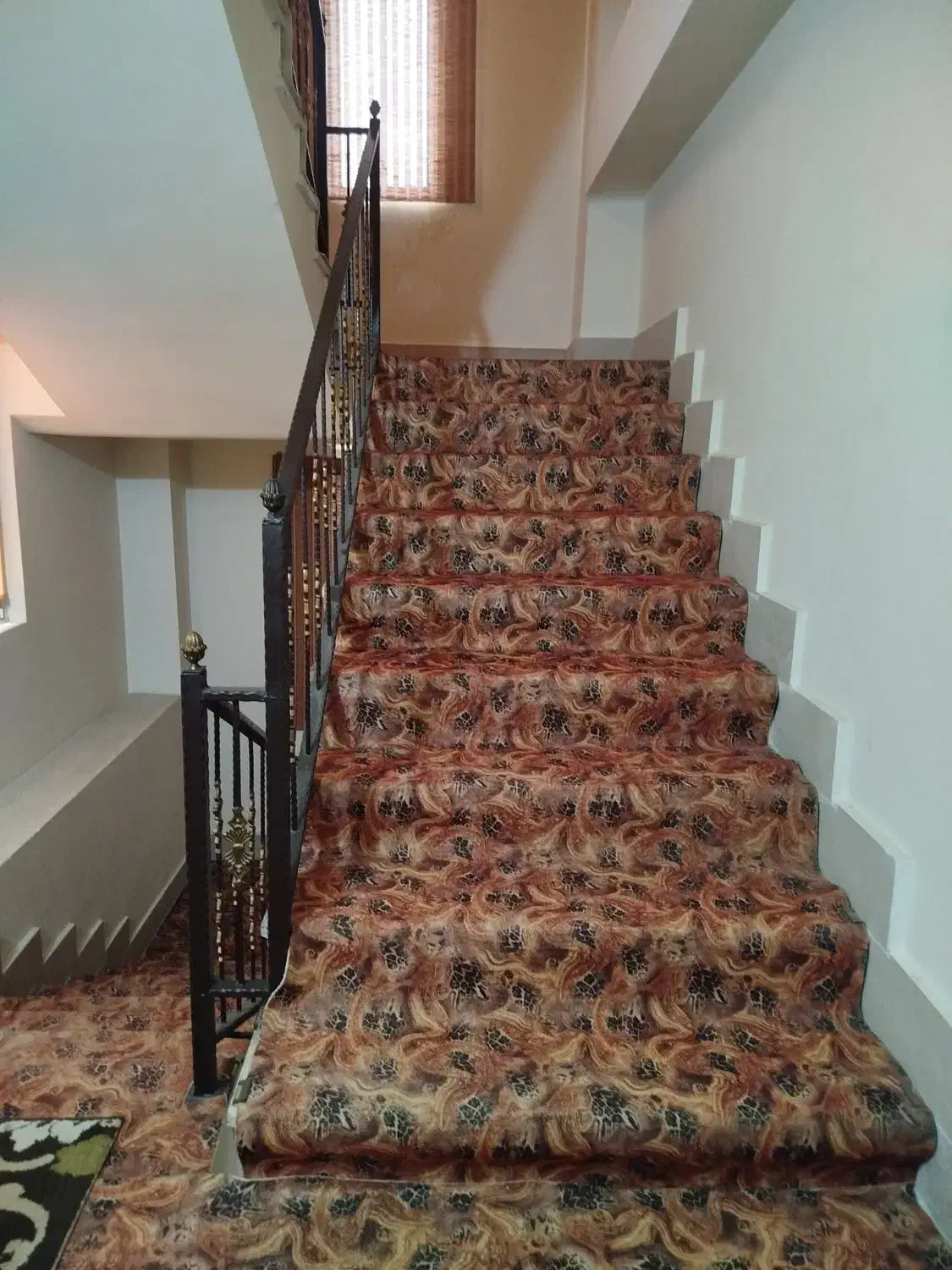 اجاره خانه نو ساز|اجارهٔ آپارتمان|گرگان, |دیوار