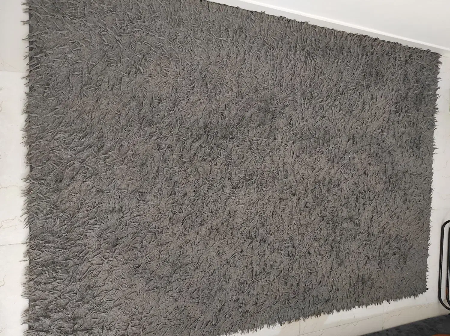 فرش تدی|فرش|گرگان, |دیوار