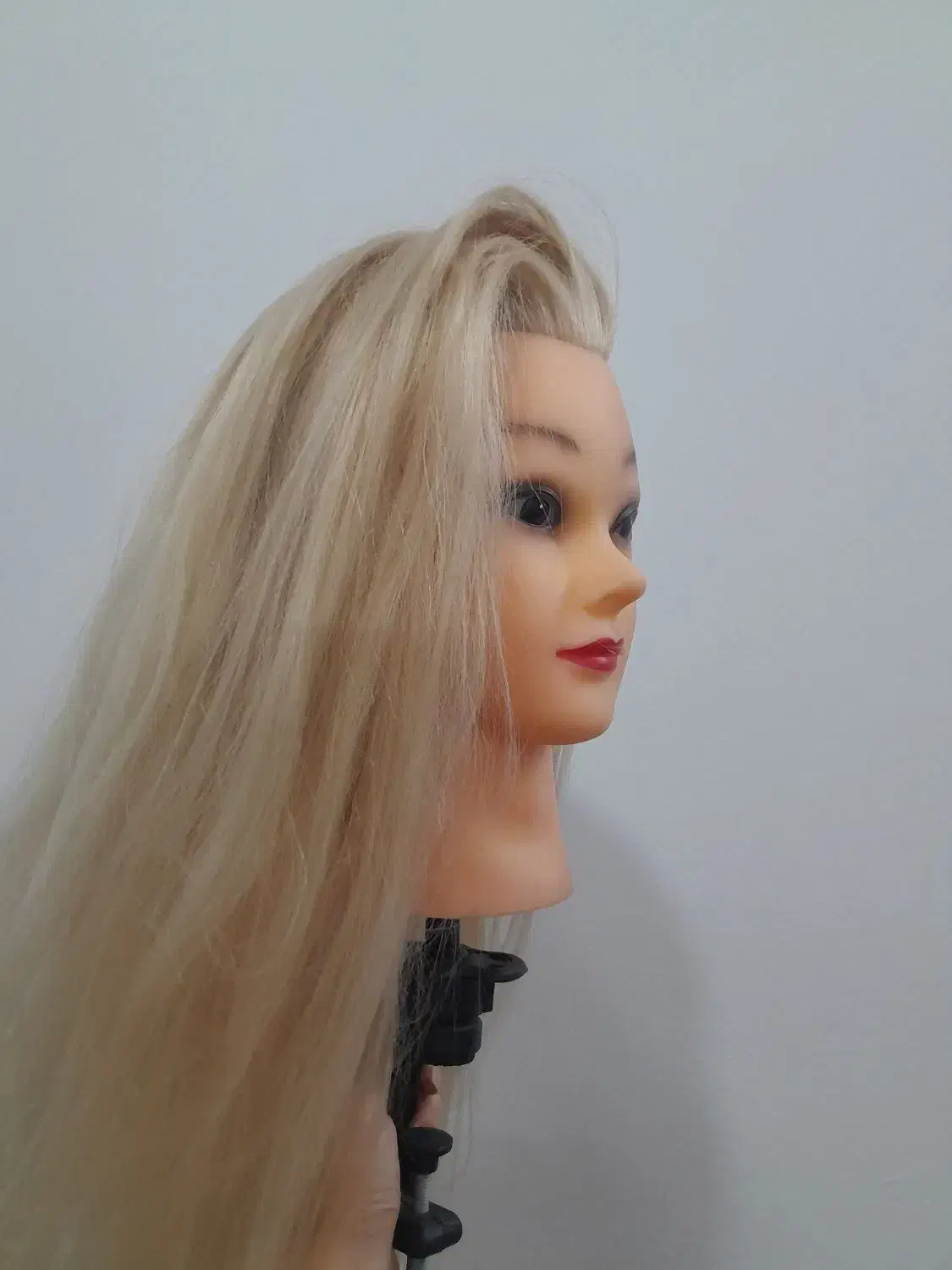 کله مانکن|آرایشی، بهداشتی، درمانی|آمل, |دیوار