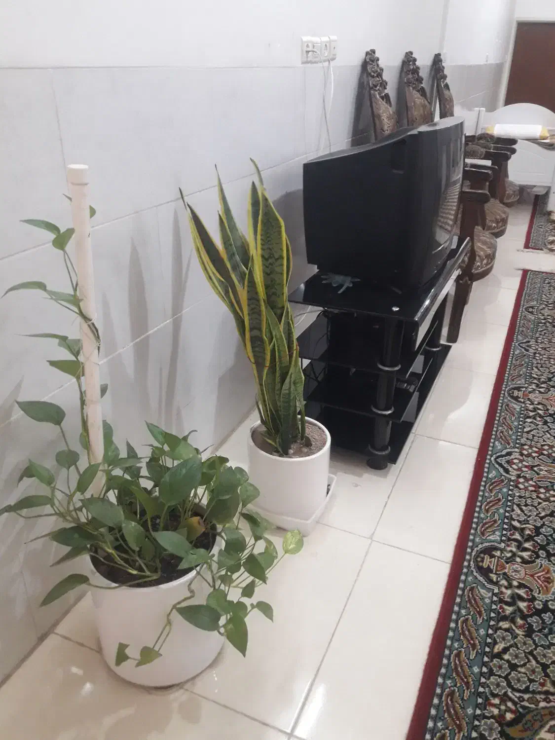 .منزل دربست بسیار تمیز مدرس مرکز شهر  سوییت|اجارهٔ کوتاه‌مدت آپارتمان و سوئیت|یزد, |دیوار