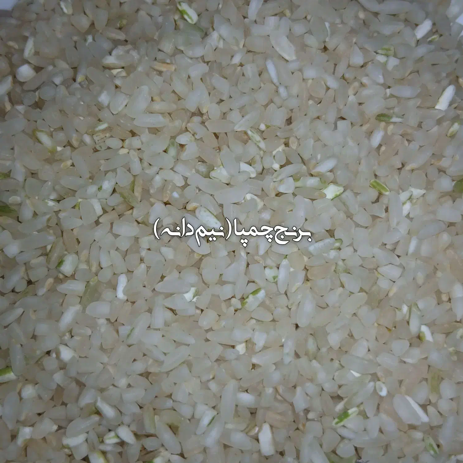 برنج چمپا شهریار|خوردنی و آشامیدنی|فلارد, |دیوار