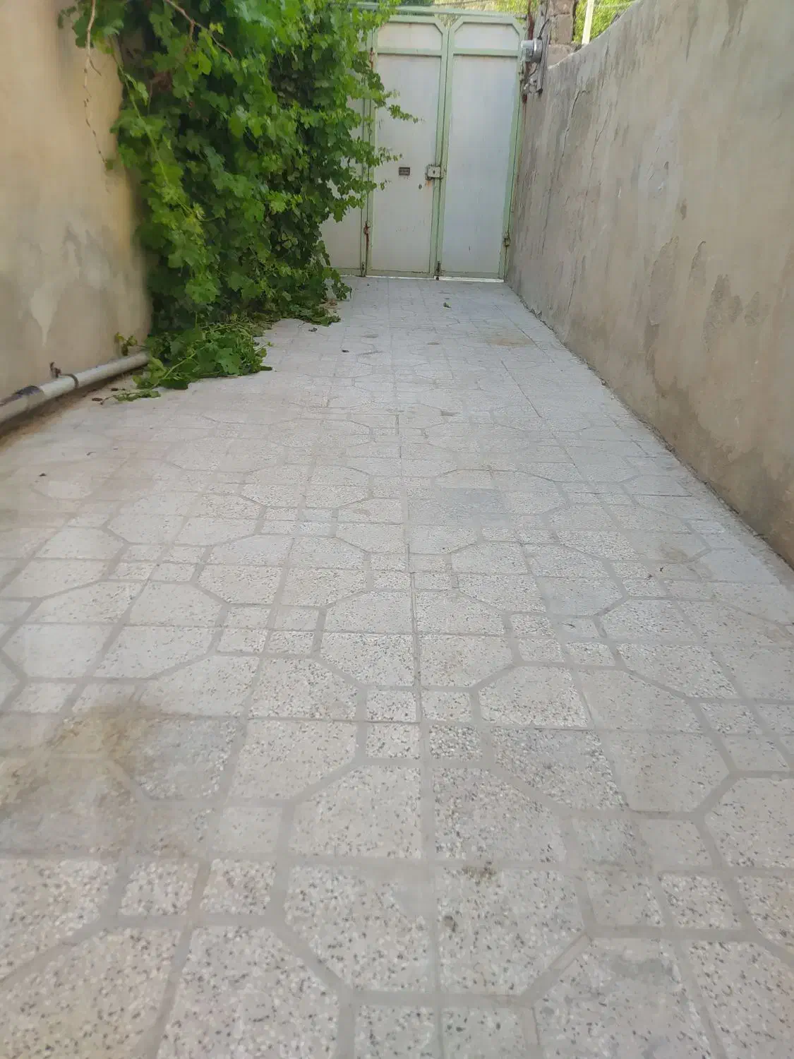 اجار منزله مبله|اجارهٔ کوتاه‌مدت آپارتمان و سوئیت|یاسوج, |دیوار