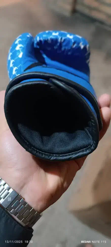 دستکش بوکس|تجهیزات ورزشی|بروجرد, |دیوار