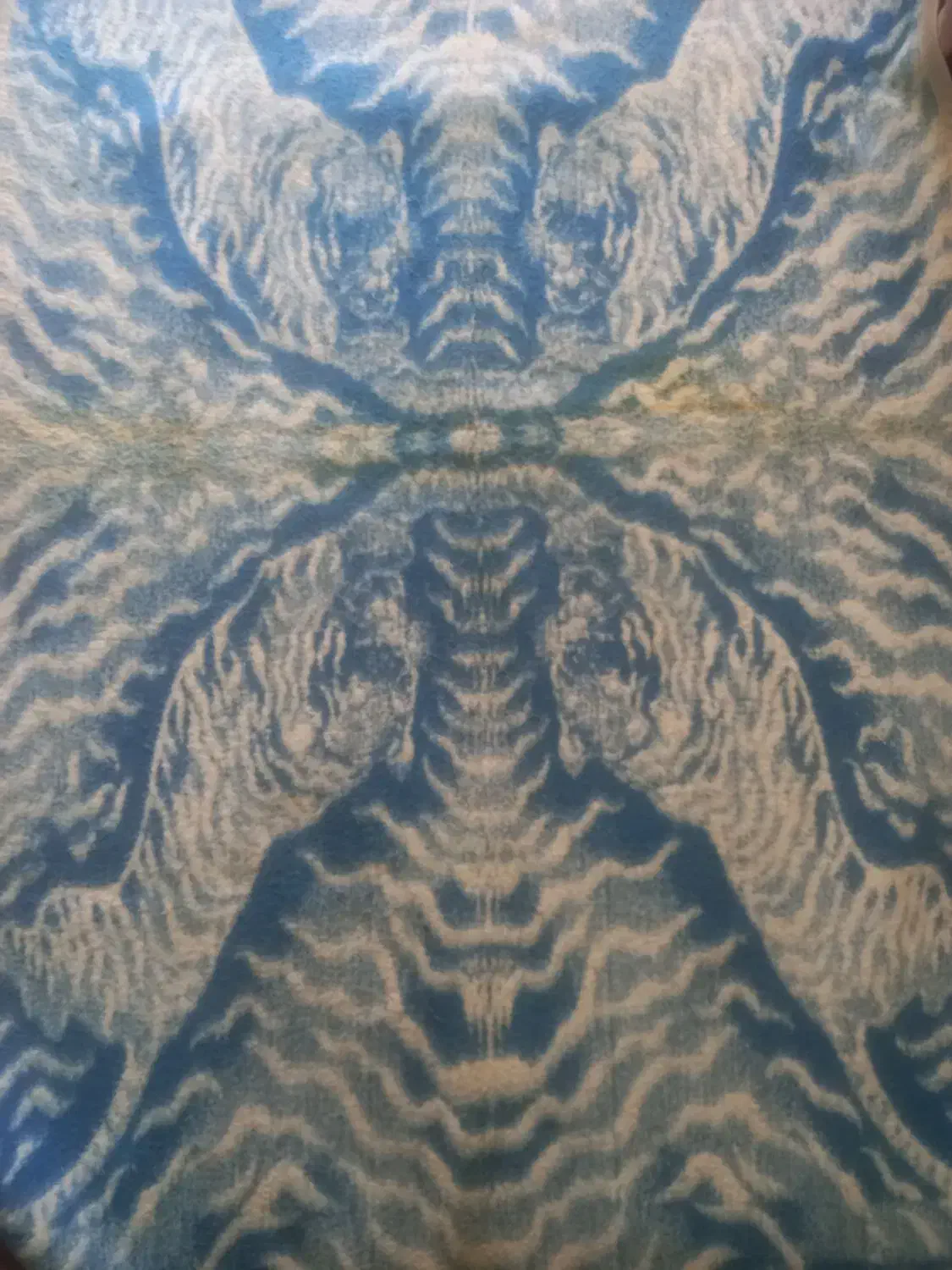 پتوپلنگی|رختخواب، بالش، پتو|قائمشهر, |دیوار