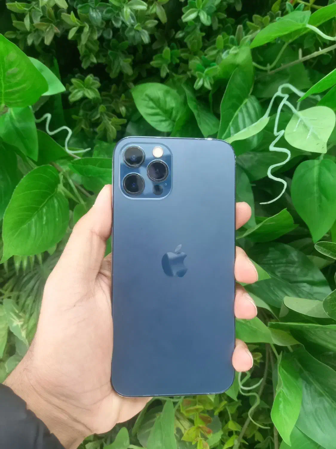 آیفون 12 pro|موبایل|قزوین, |دیوار