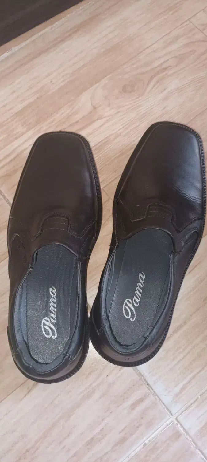 کفش پاما|کیف، کفش، کمربند|محمدشهر, همایون ویلا|دیوار