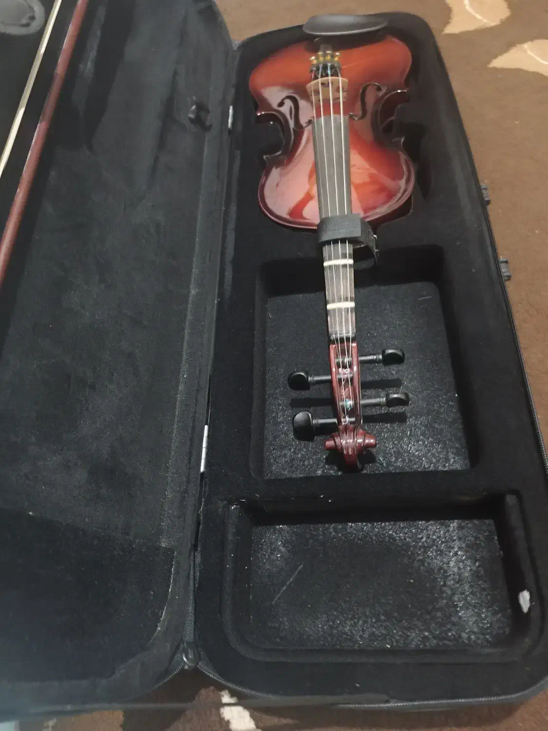 ویولن|ویولن|شیراز, کیان آباد|دیوار