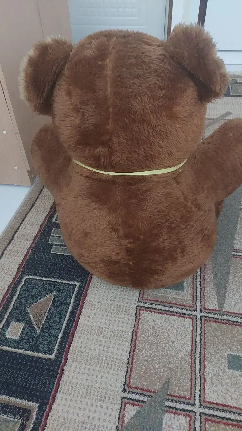 خرس عروسکی|اسباببازی|شاهینشهر, حافظ جنوبی|دیوار