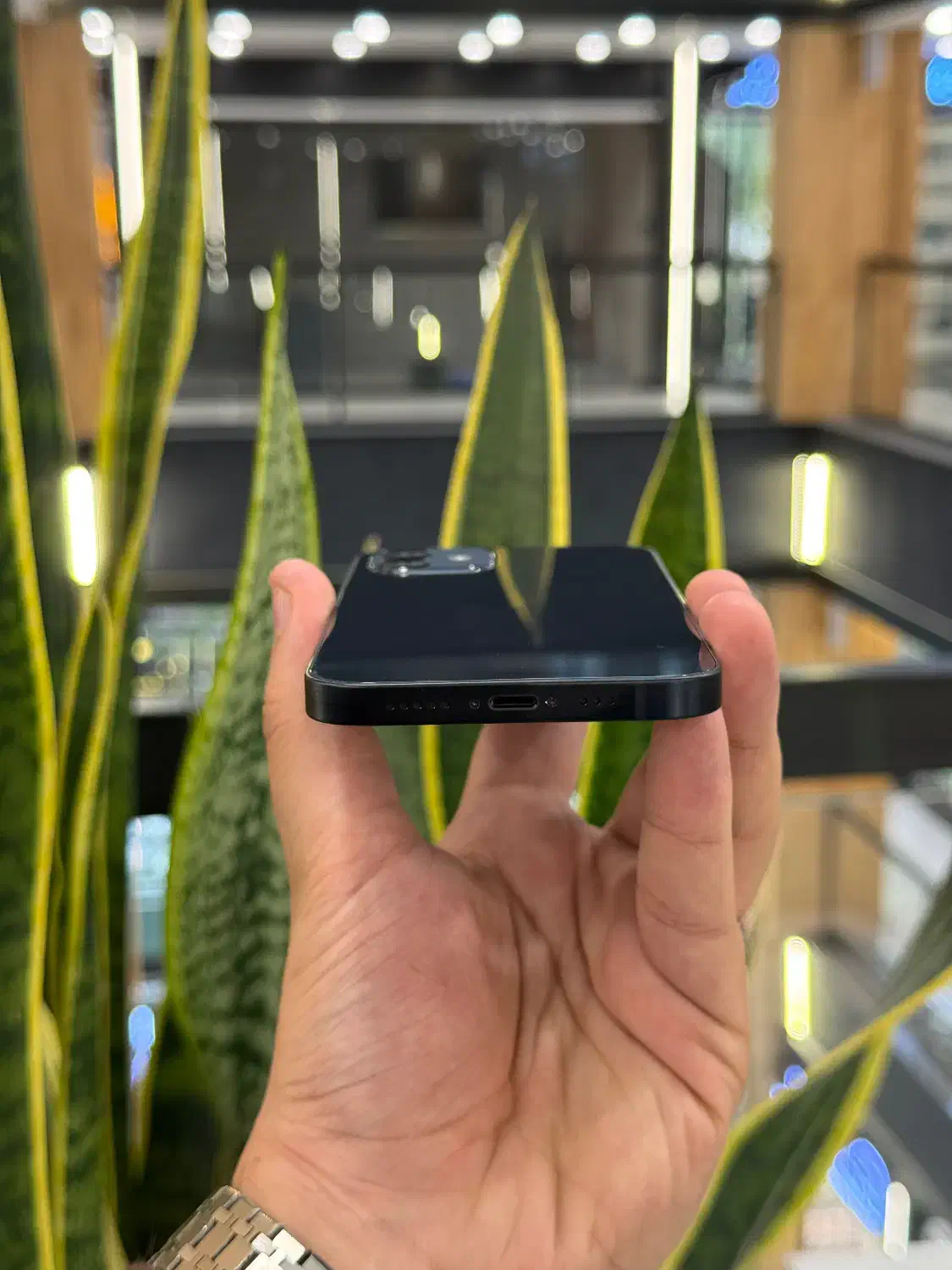 اپل ۱۲ نرمال|موبایل|رشت, چله خانه|دیوار