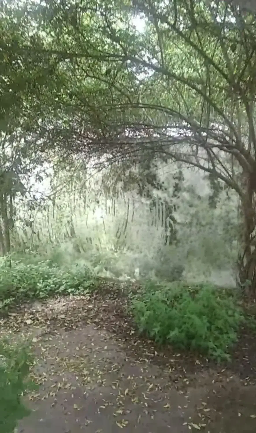 فروش یا معاوضه ملک در فرج آباد چالوس|فروش خانه و ویلا|چالوس, |دیوار