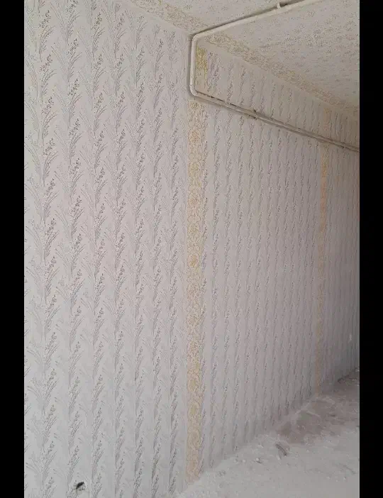 رنگ آمیزی ساختمان طرح کاغذ دیواری|خدمات پیشه و مهارت|بروجن, |دیوار