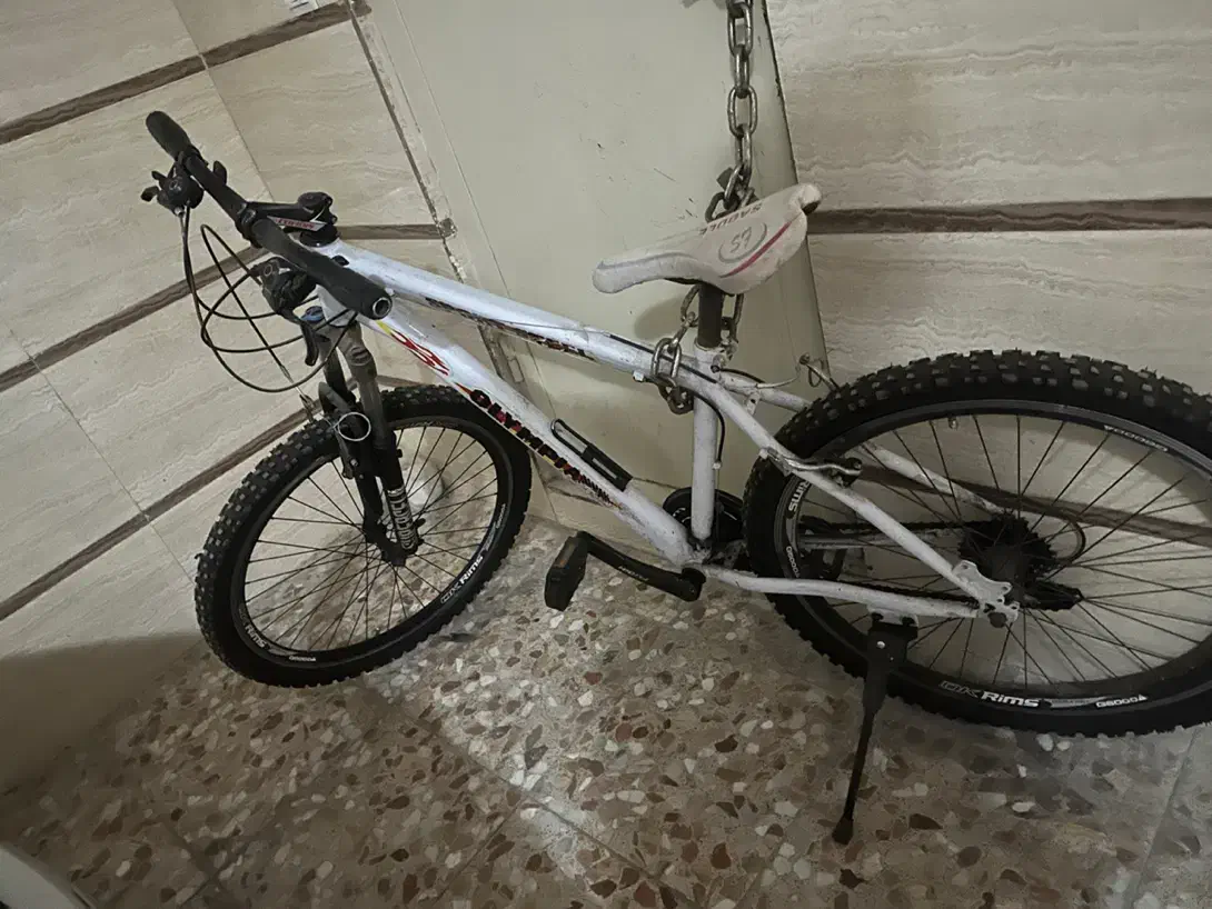 دوچرخه|دوچرخه، اسکیت، اسکوتر|قدس, شهرقدس|دیوار