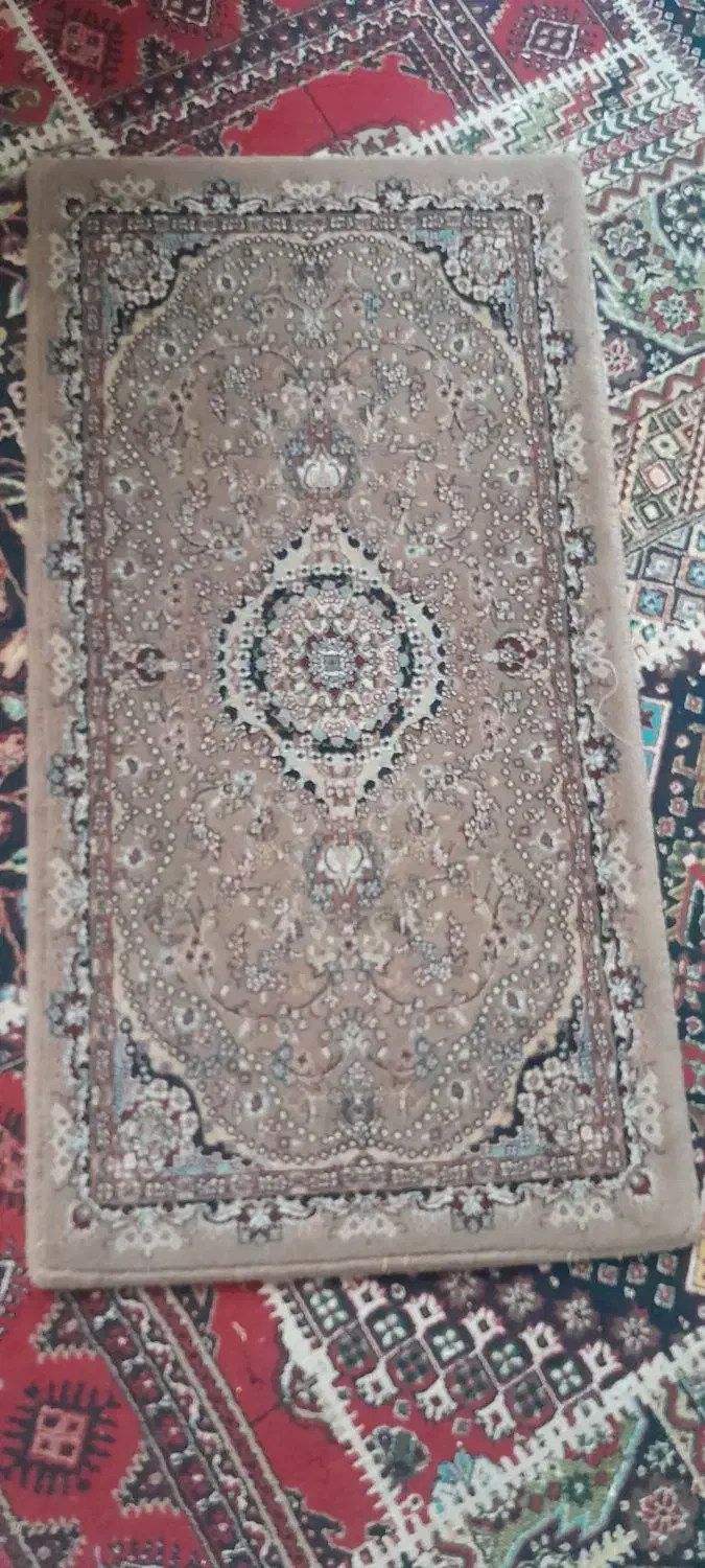 یه جفت پادری به رنگ گردویی|پادری|پاکدشت, پاکدشت (مامازند)|دیوار