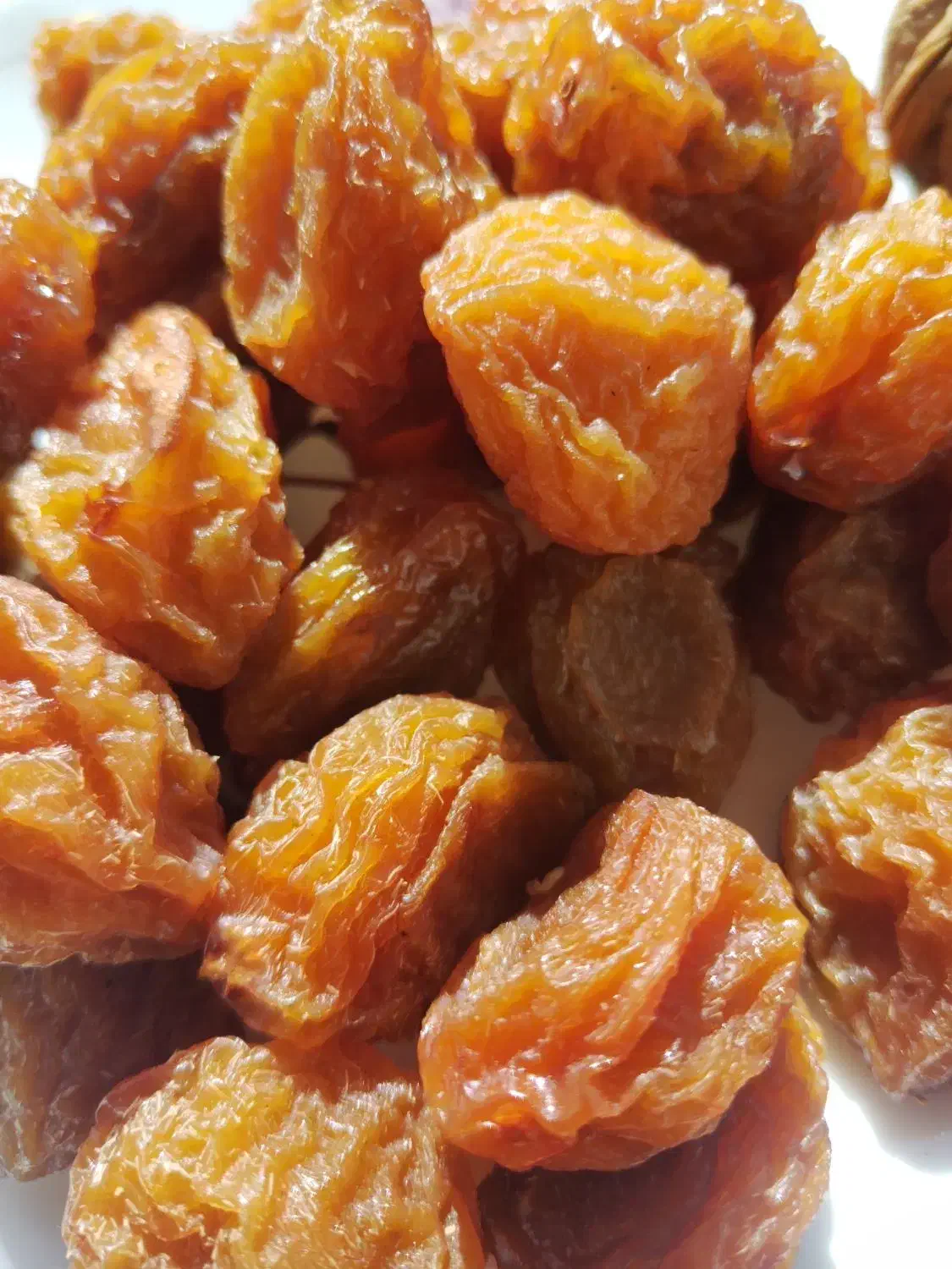 آلو بخارا درجه یک آبجوشی|خوردنی و آشامیدنی|شیراز, ریاستی|دیوار
