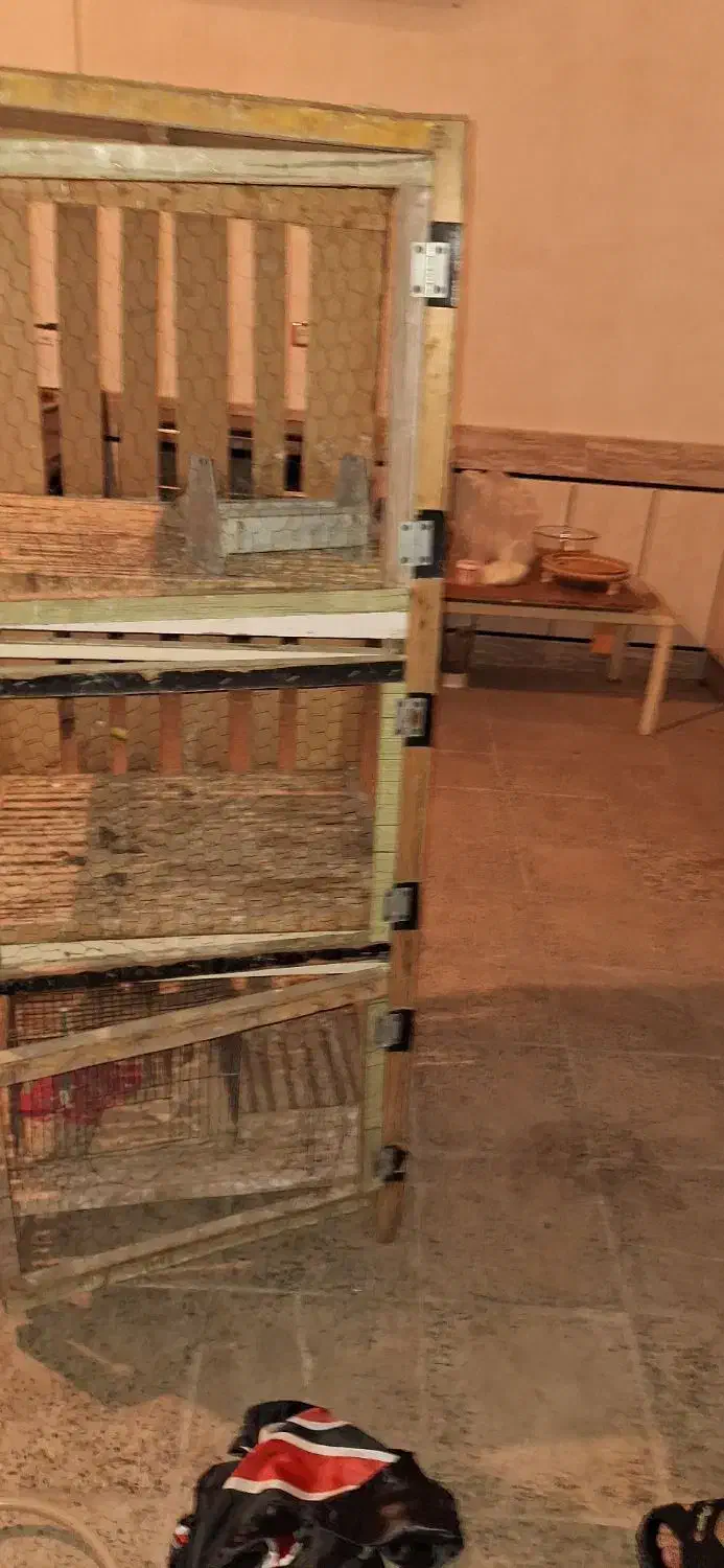 قفس ۳ طبقه عالی|لوازم جانبی حیوانات|اندیمشک, |دیوار