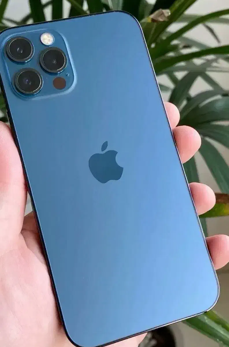 ایفون ۱۲ پرو مکس|موبایل|گرگان, |دیوار