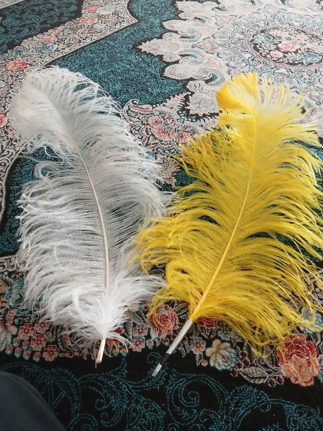 پر علامت آفریقایی|کلکسیون اشیاء عتیقه|تهران, امام حسین|دیوار