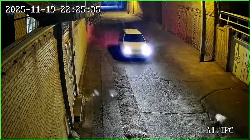 سگ اشپیتز گمشده. خیابان امام|حیوانات|رفسنجان, |دیوار