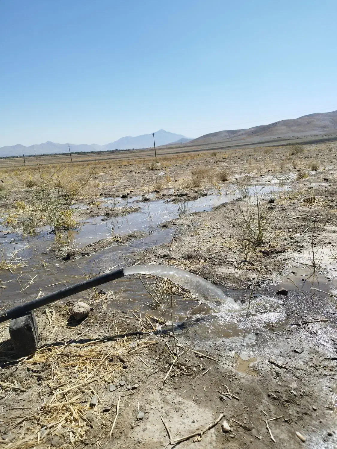 زمین کشاورزی سند ثبتی دارای چاه آب بامجوز صنعتی|فروش دفتر صنعتی، کشاورزی، تجاری|ملایر, |دیوار