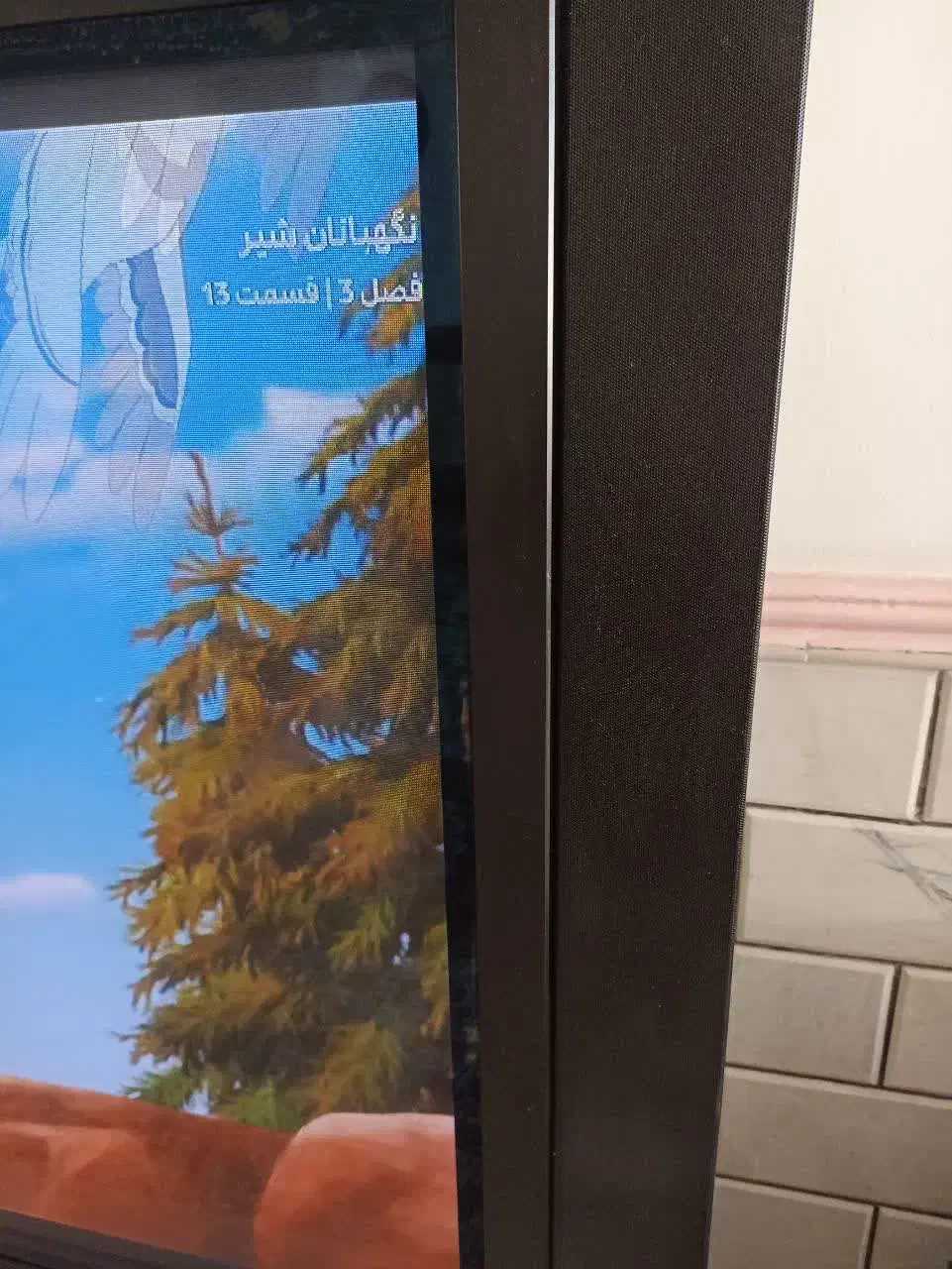 تلویزیون ۶۵ اینچ پاناسونیک|تلویزیون و پروژکتور|قم, بنیاد|دیوار