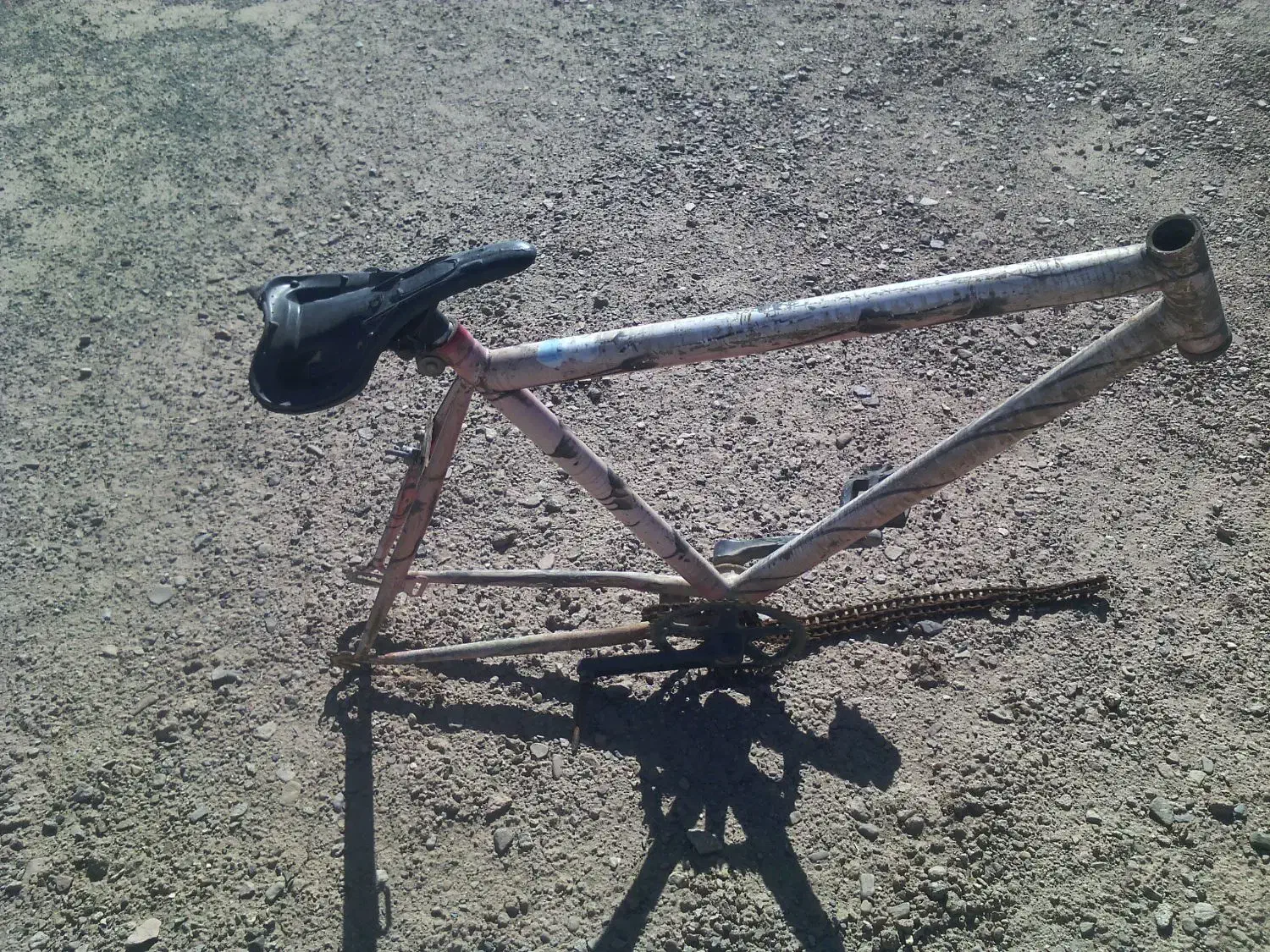 تنه دوچرخه و رینگ|دوچرخه، اسکیت، اسکوتر|بیرجند, |دیوار