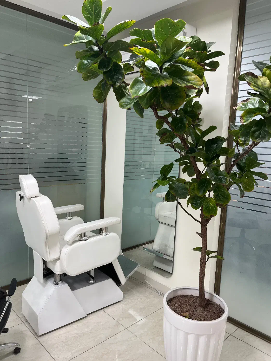 نظافت سالن زیبایی|استخدام سرایداری و نظافت|تبریز, |دیوار