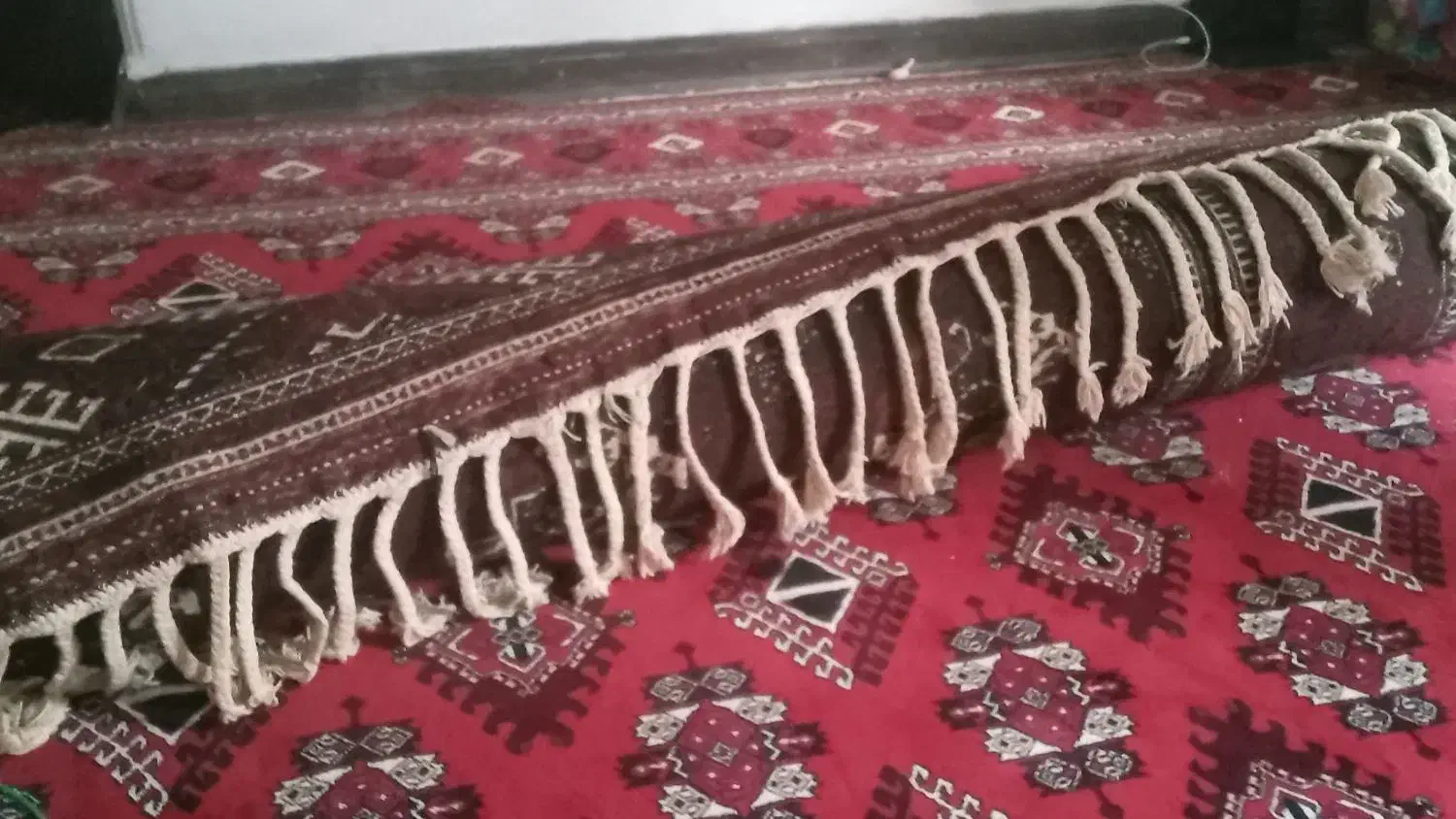 فرش ترکمن نو|فرش|بندر ترکمن, |دیوار