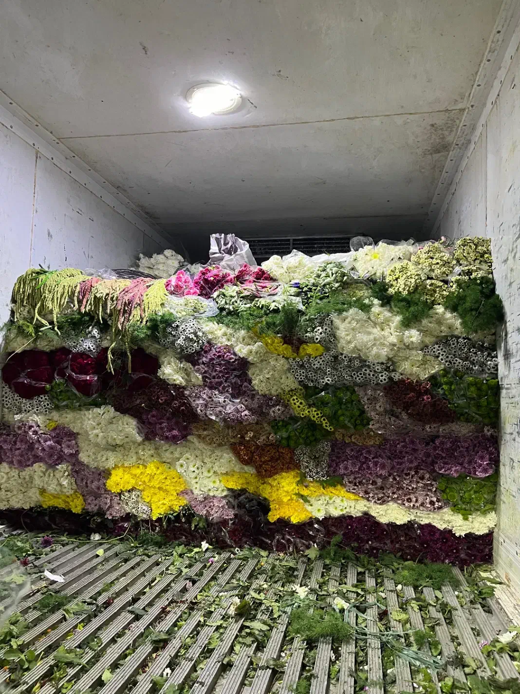استخدام نیرو برای کار در پخش گل|استخدام خدمات فروشگاه و رستوران|شیراز, رکن‌آباد|دیوار