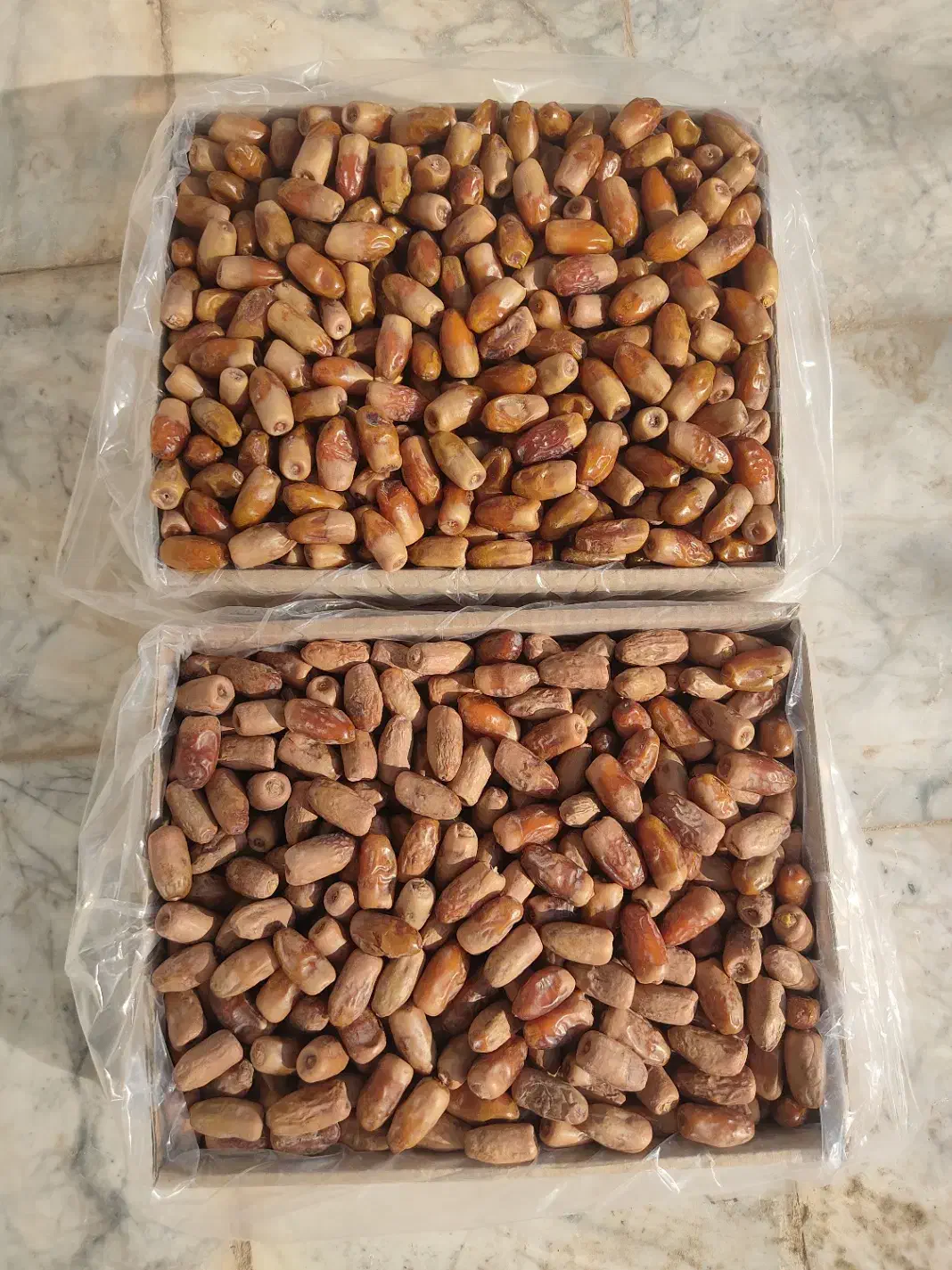 خرما فروشی و خریدار خرما|خوردنی و آشامیدنی|سراوان, |دیوار