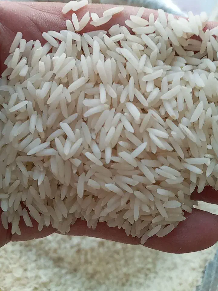 برنج هاشمی فریدونکنار|خوردنی و آشامیدنی|اصفهان, همدانیان|دیوار