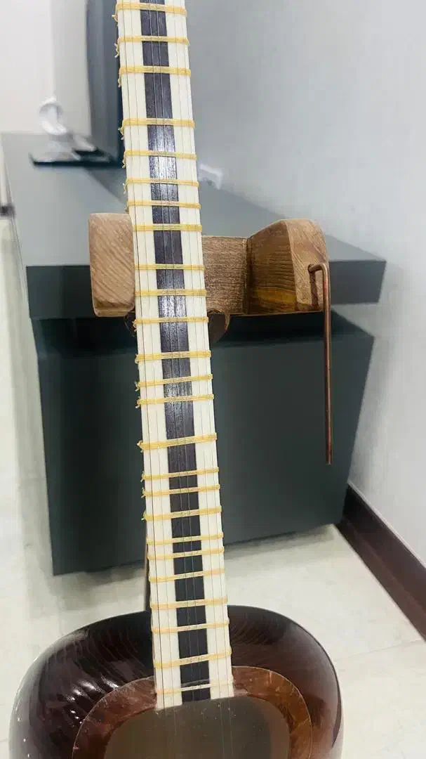 تار با مهر استاد گلستانی|سازهای سنتی|تهران, تهرانسر شمالی|دیوار