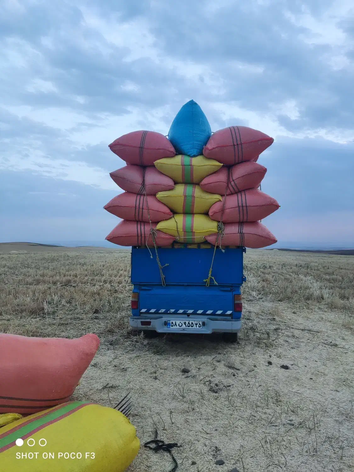 کاه گندم (کاهکوب)|عمدهفروشی|میانه, |دیوار