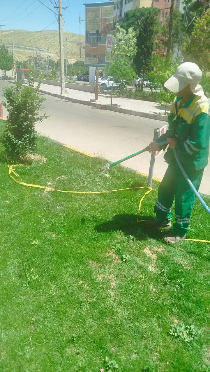 انجام امور باعبانی و فضای سبز|خدمات باغبانی و درختکاری|شیراز, شهرک فرزانگان|دیوار