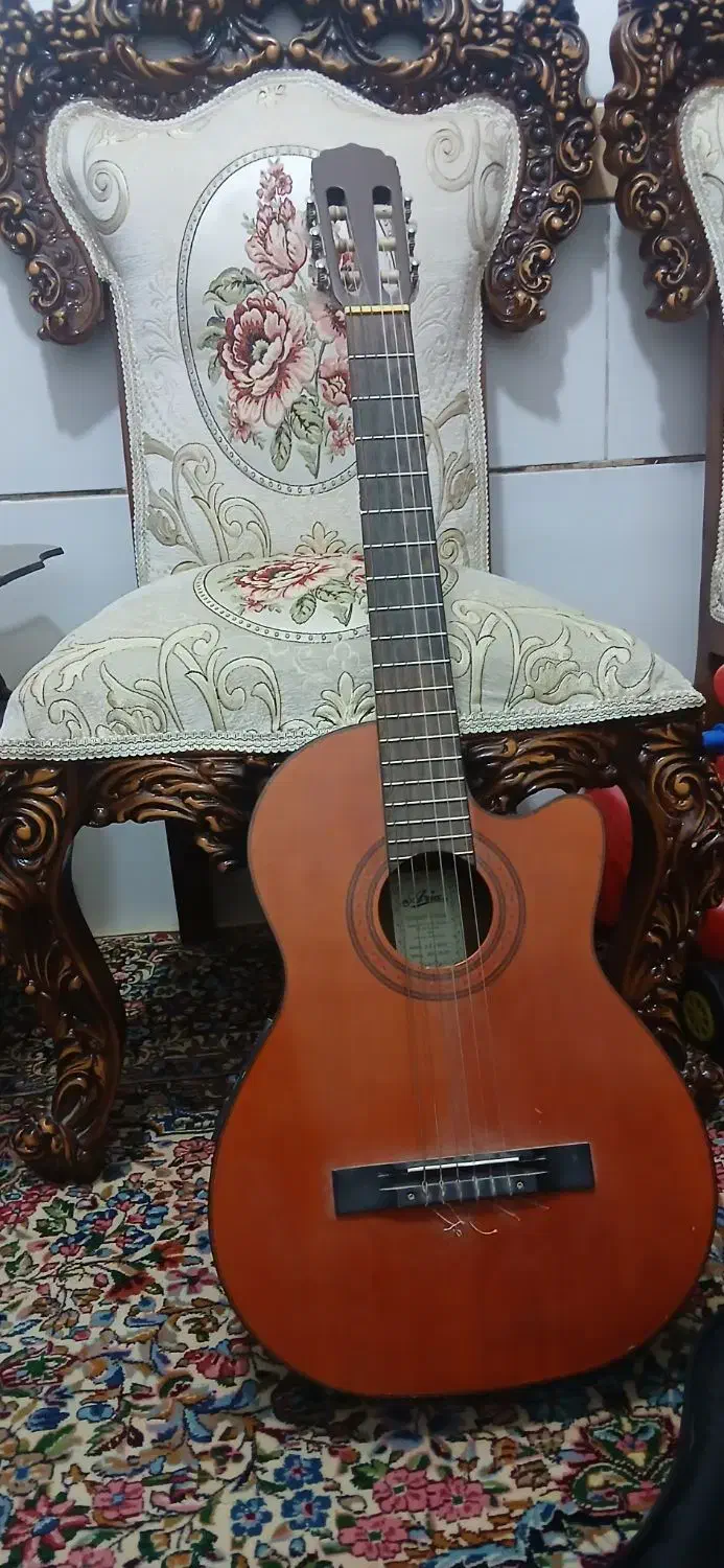 گیتارآریاak80پیکاپ دار|گیتار، بیس، امپلیفایر|کرمان, |دیوار