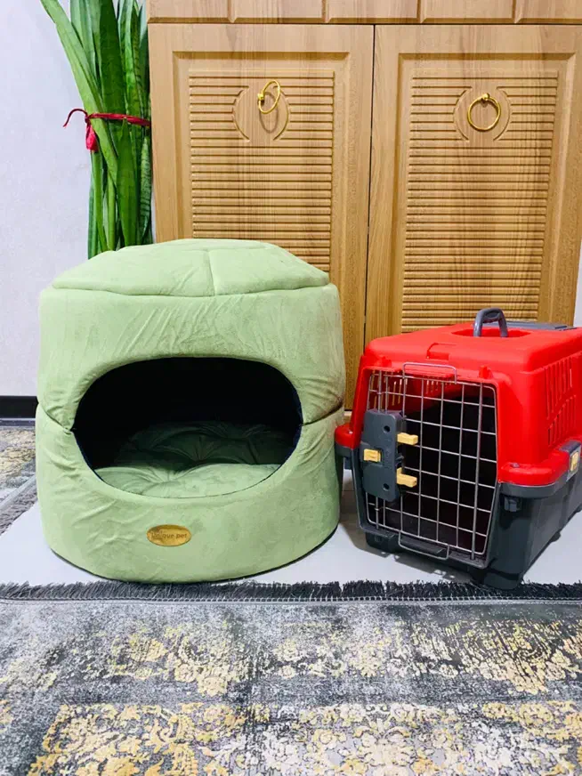 وسایل گربه|لوازم جانبی حیوانات|شیراز, شهرک گلستان|دیوار