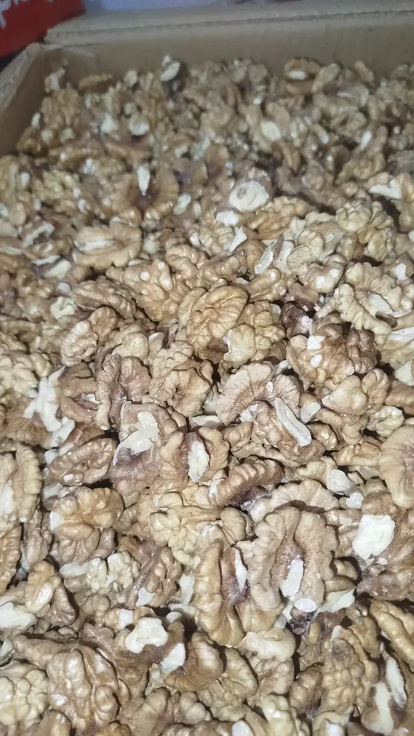 معز گردو|خوردنی و آشامیدنی|تهران, میرداماد|دیوار