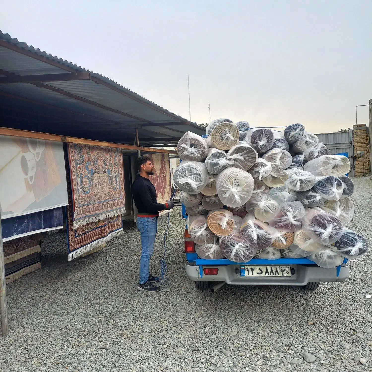 قالیشویی/ رفوگری /مبلشویی پرویزی|خدمات نظافت|فردیس, ثابتی|دیوار