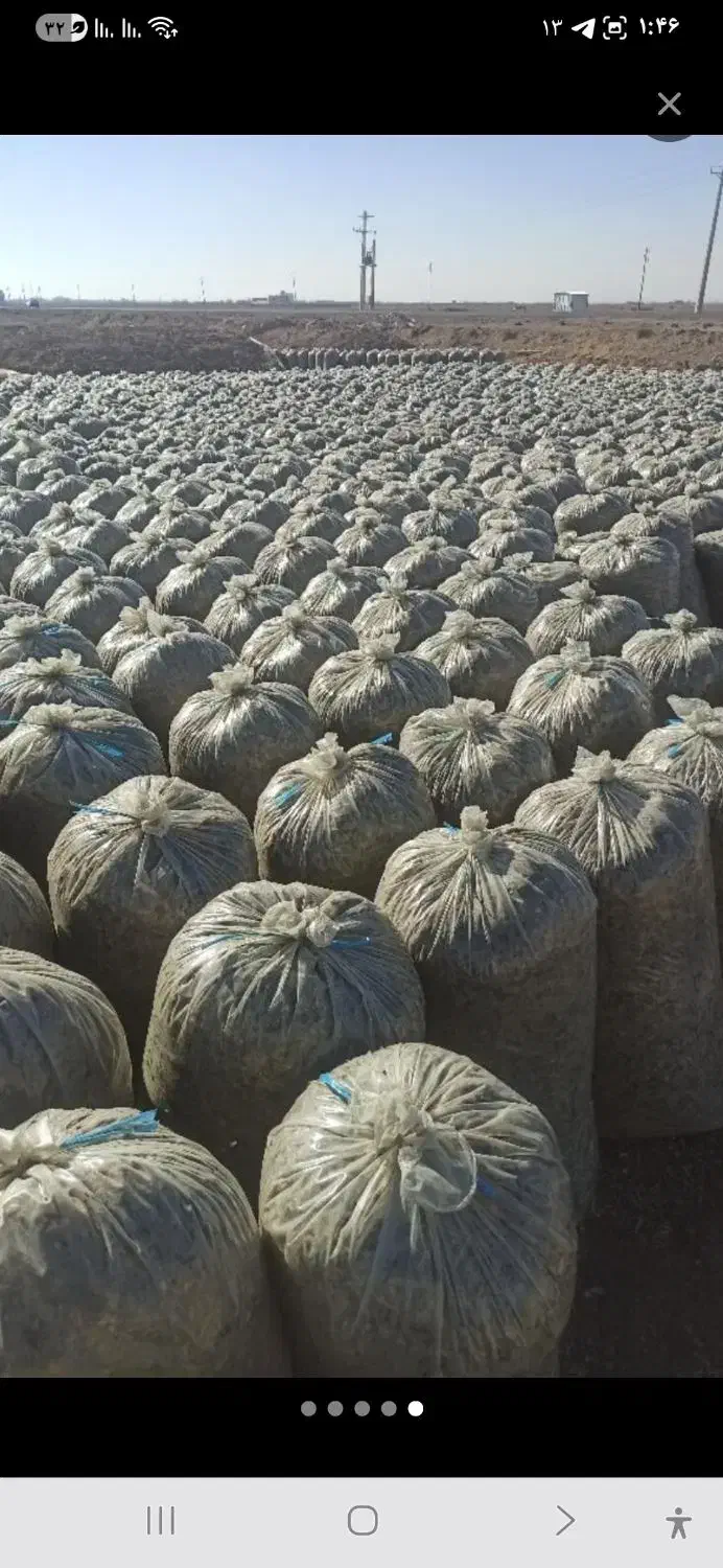 پرس یونجه|خدمات باغبانی و درختکاری|سیاهکل, |دیوار